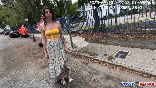 Preview of PussyPatrol Destiny Love XXX